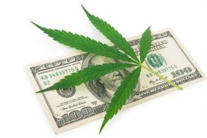 how much does it cost to get your medical marijuana card in miami